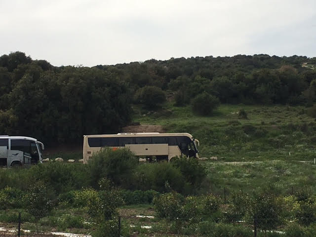 מחיר אוטובוס כרמיאל